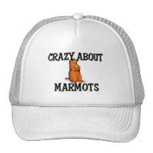 Fou au sujet des marmottes casquettes