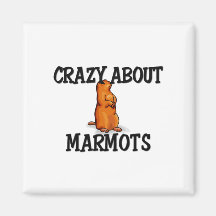 Fou au sujet des marmottes magnets