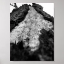 foudre frappée posters