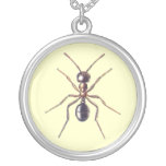 Fourmi Pendentifs