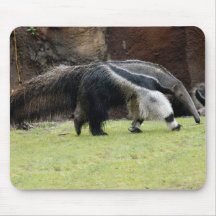 Fourmi géante Eater8x10 Tapis De Souris