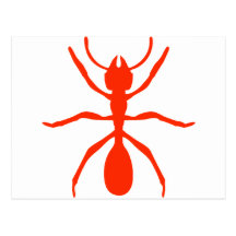 fourmi rouge cartes postales