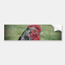 Fowl Face Bumper Sticker