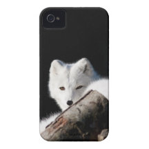Fox arctique coques Case-Mate iPhone 4