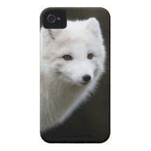 Fox arctique coques Case-Mate iPhone 4