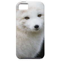 Fox arctique coques iPhone 5