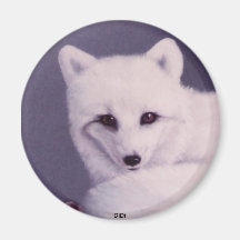 Fox arctique, DiDi Magnets Pour Réfrigérateur