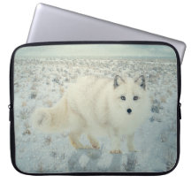 Fox arctique housses ordinateur