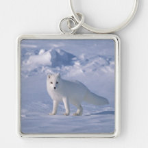 Fox arctique porte-clé