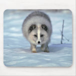 Fox arctique sur la neige tapis de souris