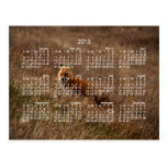 Fox dans l'herbe ; Calendrier 2013 Cartes Postales
