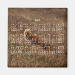 Fox dans l'herbe ; Calendrier 2013 Magnets Pour Réfrigérateur