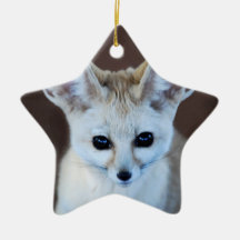 Fox de Fennec Ornement De Noël