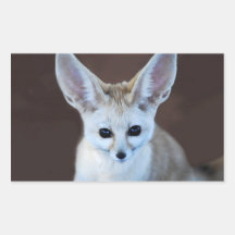 Fox de Fennec Stickers En Rectangle