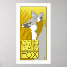 Fox d'île de la Manche Affiche