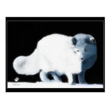 Fox lumineux cartes postales