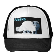 Fox lumineux - L'Alaska Casquettes