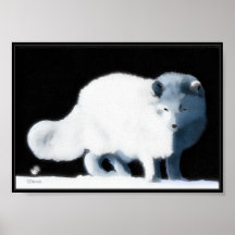 Fox lumineux affiche