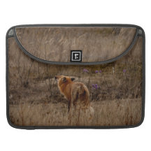 Fox reniflant les crocus poche pour macbook
