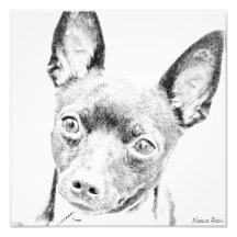 Fox Terrier de jouet Photo D’art