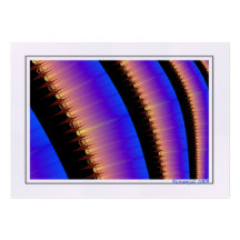 Frack_520_artcard Cartes De Visite Personnelles