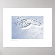 fragment snowdrifted de barrière posters