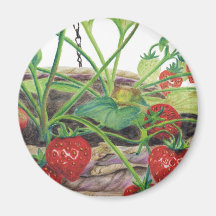 Fraise Aimant