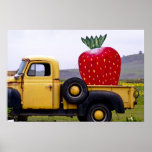 Fraise organique posters