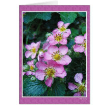 Fraises de attente carte