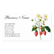 Fraises vintages de baies de fruit de nourriture p cartes de visite personnelles