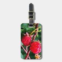 Framboises sauvages étiquette à bagage