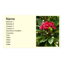 Frangipani hawaïen carte de visite