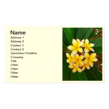 Frangipani hawaïen cartes de visite personnelles