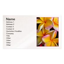 Frangipani hawaïen cartes de visite personnelles
