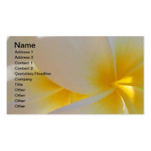 Frangipani hawaïen cartes de visite personnelles