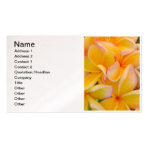 Frangipani hawaïen modèles de cartes de visite