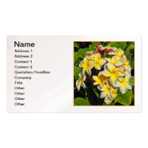 Frangipani hawaïen modèles de cartes de visite