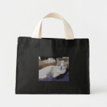 Frankie 1 sac