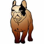 French Bulldog Photos En Relief
