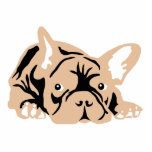 French Bulldog rose Photo En Découpe