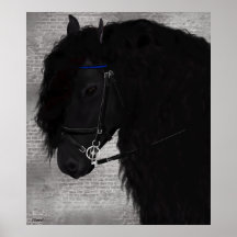 Friesian Horse Poster