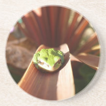 Frog bag drink coasters
