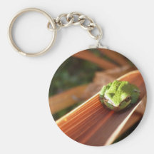 Frog in the sun keychains