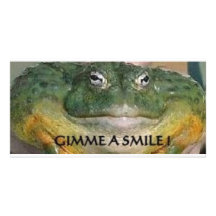 FROGGIE PHOTOCARTE