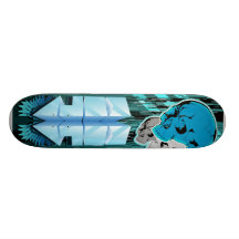 FROID PLATEAUX DE SKATE