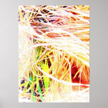 Fronde de paume posters