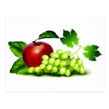 Fruit frais carte postale