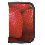 FRUITS ET LÉGUMES pochettes folios