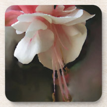 Fuchsia Bloom Coasters
