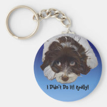 Funny Guilty Cocker Spaniel Keychain